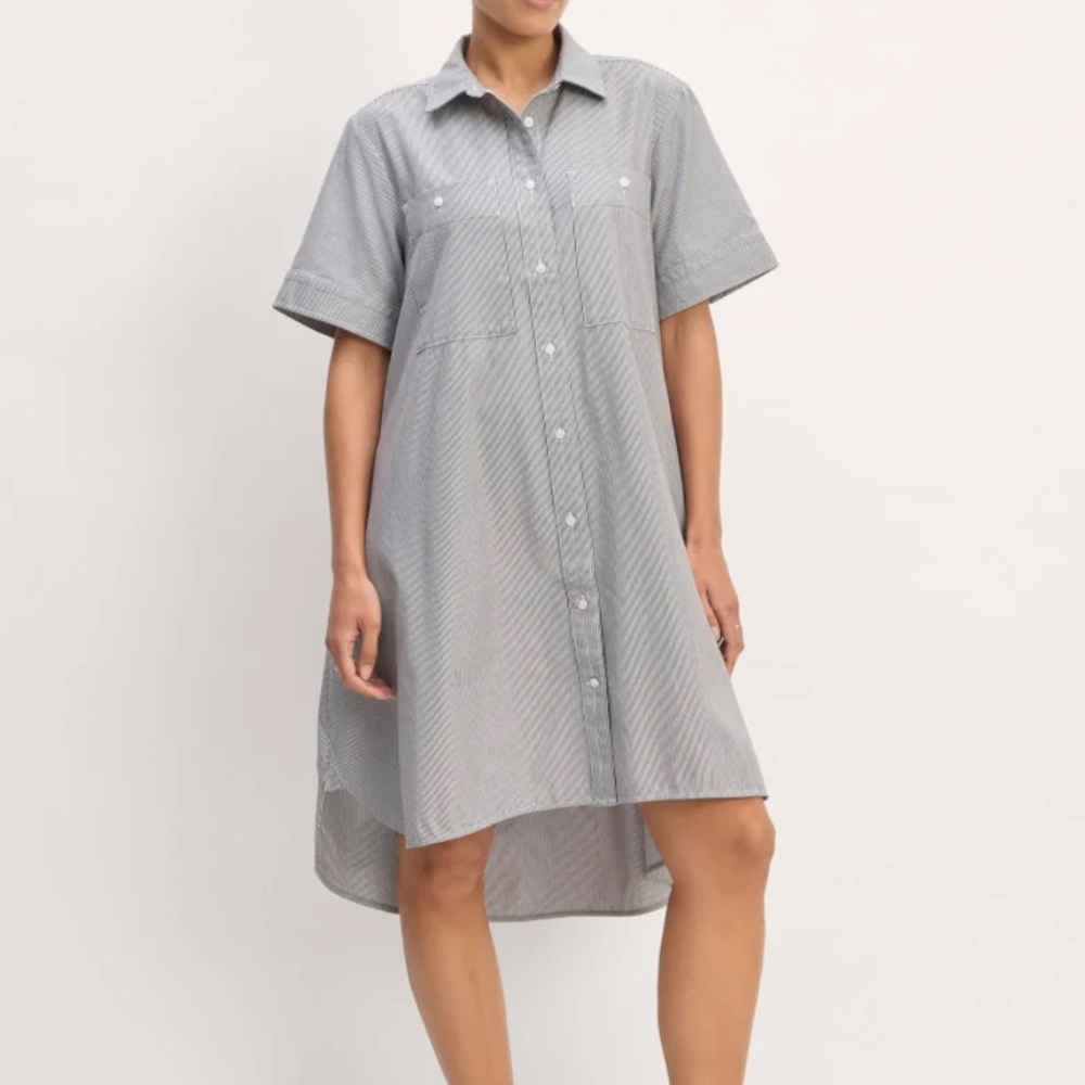 Everlane Daytripper Striped Shirtdress